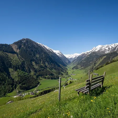 Hochalmbahnen 15w2, Glockenblume, Nahe Gondel, Hunde Willkommen * 劳里斯