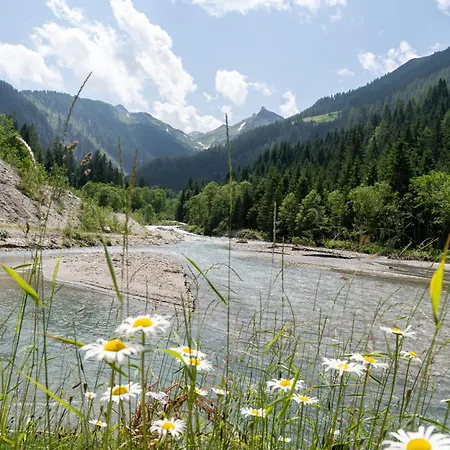 Hochalmbahnen 15w2, Glockenblume, Nahe Gondel, Hunde Willkommen *