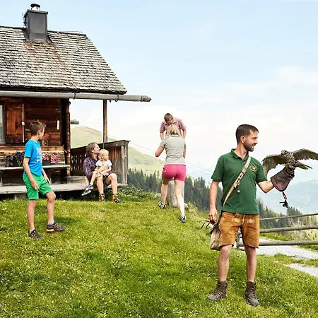 Hochalmbahnen 15w2, Glockenblume, Nahe Gondel, Hunde Willkommen